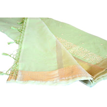 Load image into Gallery viewer, French Knot Organza Saree